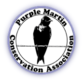 Purple Martine Association
