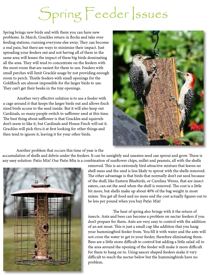 Backyard Nature Center