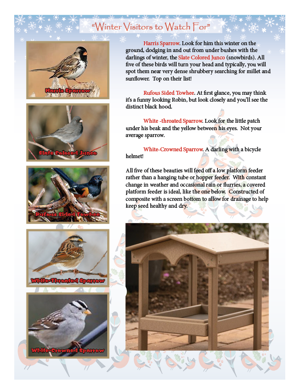 Backyard Nature Center Newsletter - Dec 2021 - Jan 2022