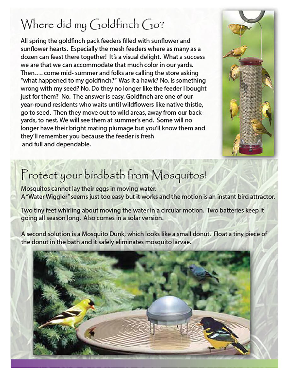 Backyard Nature Center Newsletter - June 2022 - July 2022